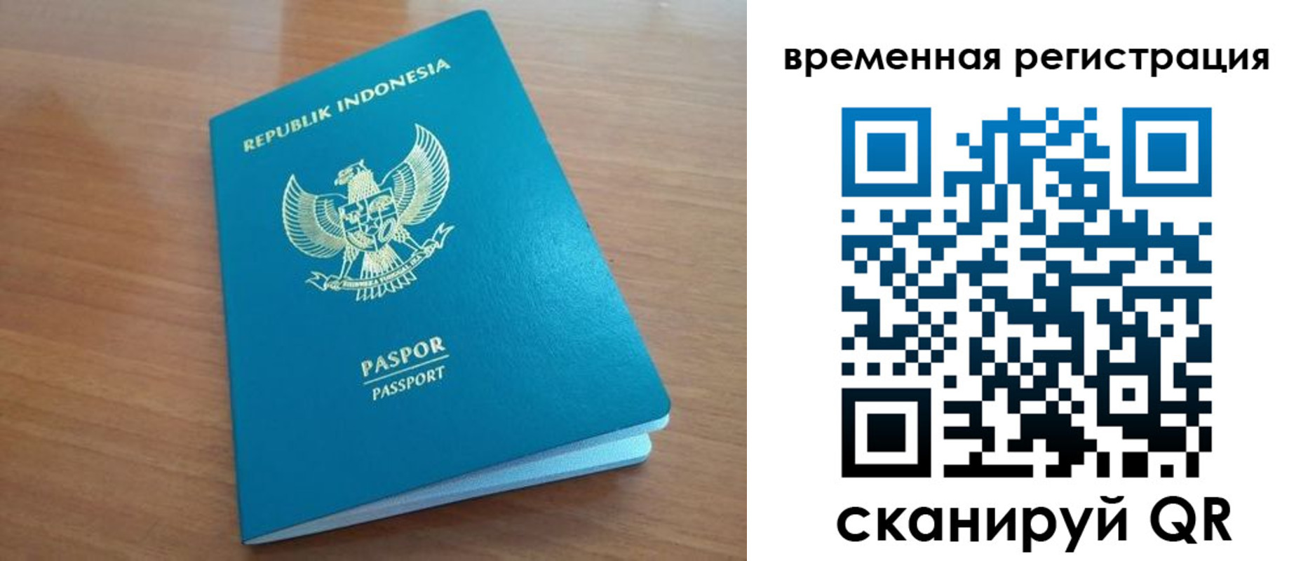 прописка законно в Волгоградской области